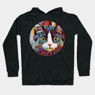 Fun floppy cat Hoodie